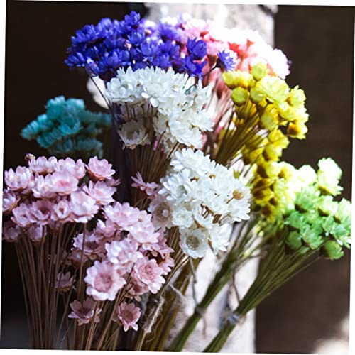 30 flores secas Daisy preservadas para decoración miniatura 4