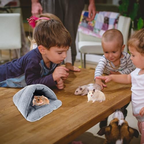 JEWEDECO ~pnX^[Q ۉyʐybgnEX pK xr[g Q܎p