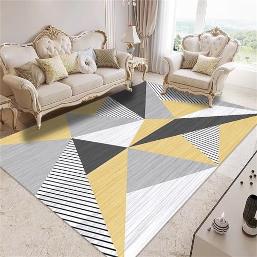 Tapis de salon pas cher lavable pour simplifier l'entretien ménager