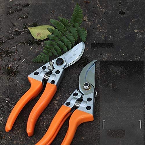 Attrezzi da Giardinaggio 1 pz Cesoie da potatura da Giardinaggio Cesoie da Giardinaggio Cesoie da potatura Cesoie a Mano per Albero Fiore Ramo UVA