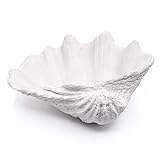 Decorative Bowl Clam Shell