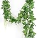 5 Strands 32.8 ft Artificial Silk Wisteria Vine Ratta Ivy Garland Wisteria Artificial Flowers Hanging Plants Vines Faux Greenery Fake Green Leaf Garland for Wedding Kitchen Home Party Decor (White)