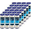SpiroPure SP-EC50 10x2.5 50 Micron Pleated Cellulose Sediment Water Filter Cartridge ECP50-10 255484-43 (Case of 24)