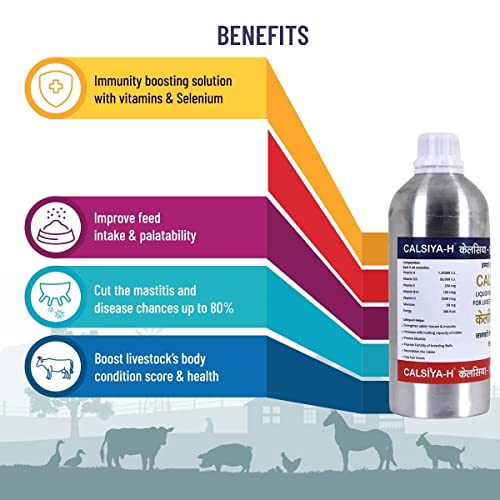 CALSIYA-H-Vitamin-H-for-Cow-Buffalo-Cattle-Farm-Animals-1000mL-Vitamin-H-with-Vitamin-D3-and-Vitamin-E-Liquid-Feed-Concentrate-for-Livestock-and-Poultry-Multivitamin-for-Livestock