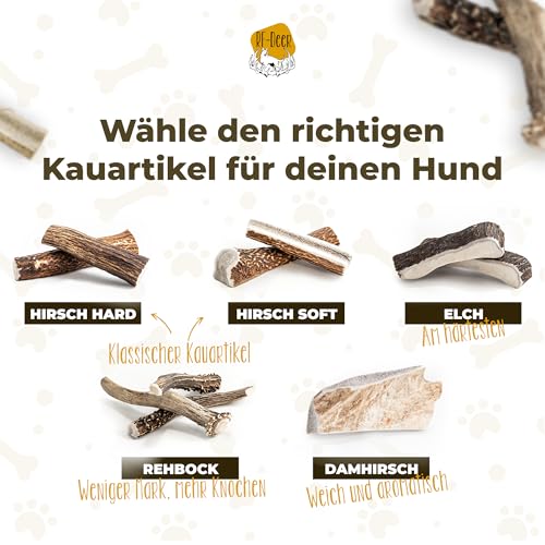 RF-Deer Hundesnack Rothirsch Geweih Kausnack - XXL Hard Plus, Hirschgeweih für Hunde, 100% Natürlicher, Kauspielzeug Hund, Hundespielzeug Kauknochen für Genuss und Zahnpflege - 1 Stück