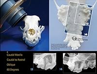 Veterinary Dental X-Ray Positioning Guide 1495185656 Book Cover