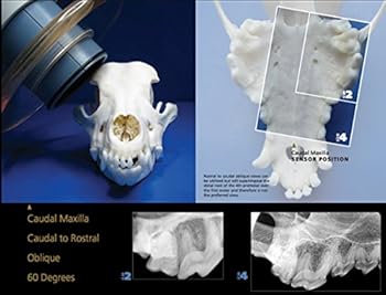 Paperback Veterinary Dental X-Ray Positioning Guide Book
