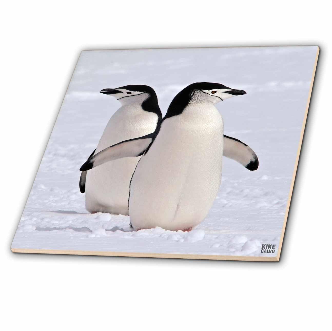 【ペンギンぷりん】 WL00061 パンチング ぷかぷかペンギン 30cm 1個 東京ローソク