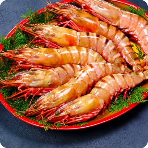 �y�b���g�z ������ �V�R�L������ �V�[�^�C�K�[ �Ɩ��p 1.3kg7������i1��185g�O��/��28cm�j ���� �C�V �G�r �Ⓚ �C�V�t���C ���уt���C �V�Ղ� BBQ �v���[���g