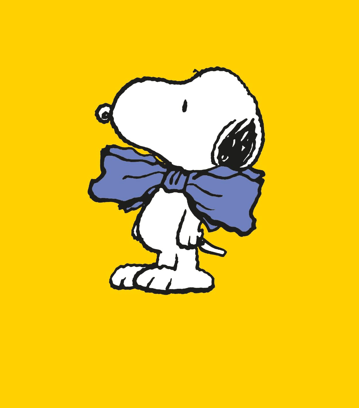 Danilo Promotions Ltd Peanuts Blank Greeting Card, Official Snoopy & Charlie Brown Design