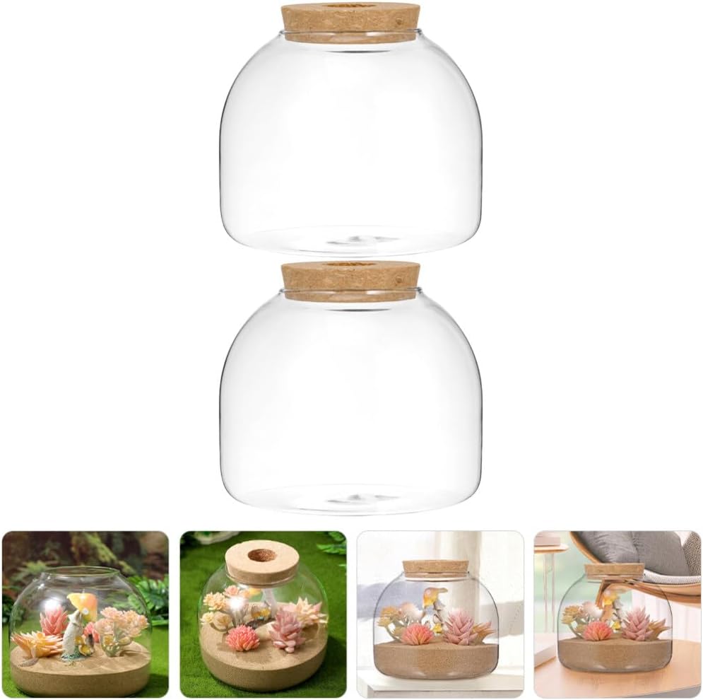 GANAZONO 2pcs Glass Landscape Bottle Stopper Stylish Glass Container for Moss Plants Decorative Tabletop Terrarium for Decor