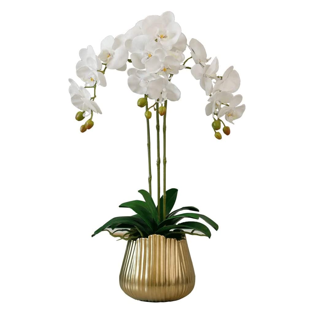 GTHTUHFD Faux Orchids Touch Realistic Artificial Phalaenopsis Flowers With Gold Porcelain Vase Orchids Artificial Flower Arrangement