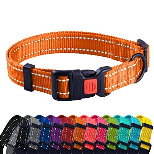 CollarDirect Reflective Dog Collar for a Small Medium, Large Dog or Puppy with a Quick Release Buckle and Padding
