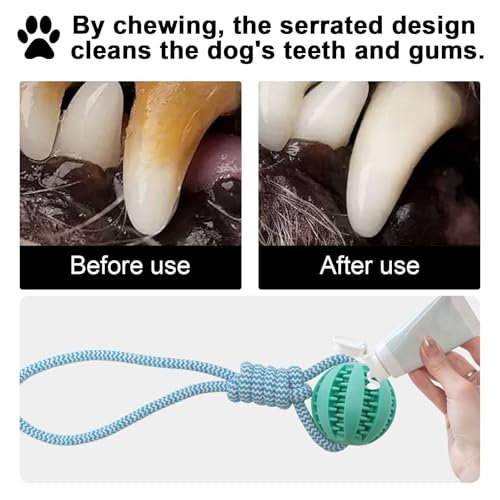 POXIAOER Juguetes para perros, paquete de 2 bolas de goma para perros con cuerda, dispensador de bolas de golosinas para perros, limpieza de dientes, juguete interactivo para cachorros pequeños y - imagen 6