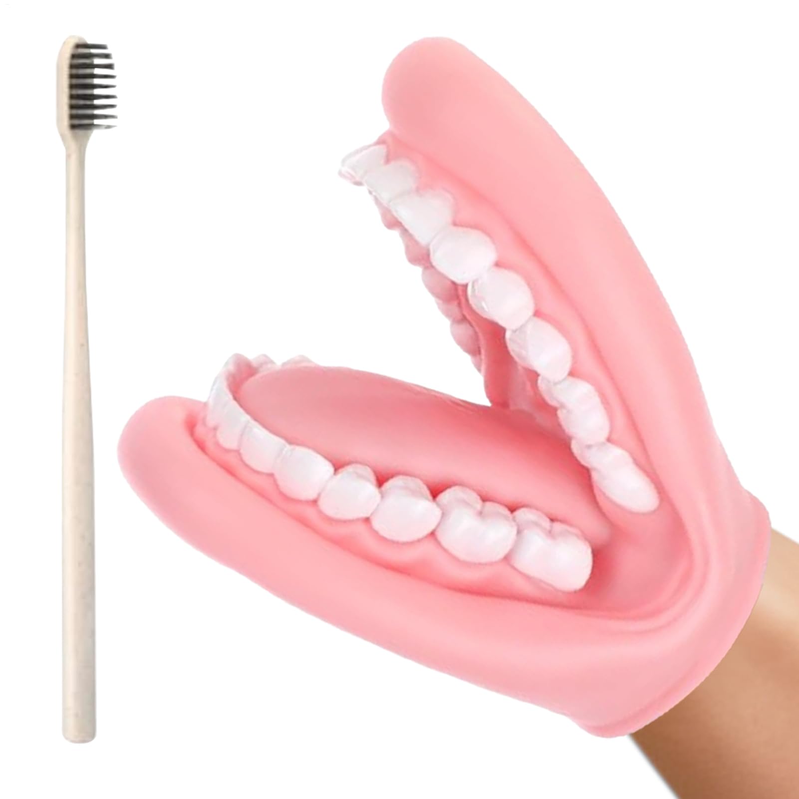 Mouth Puppet - Hand Puppets | Dentals Model Design, Movable Educational TeachIng Tool,Dentals Model Finger Puppet | For Children Home Traveling Schools Car Kindergarten