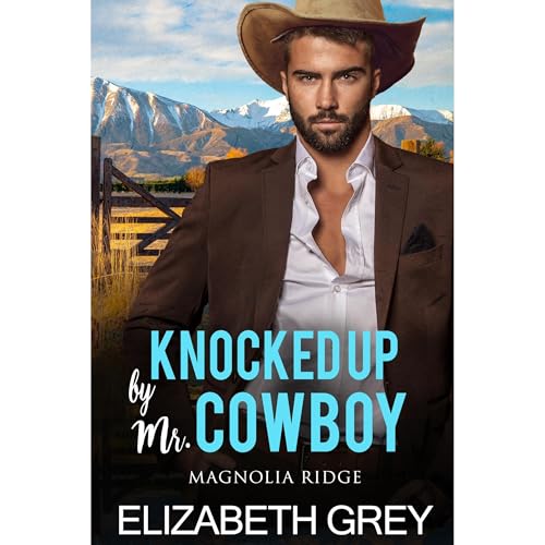 Knocked Up By Mr. Cowboy by Elizabeth Grey episode artwork