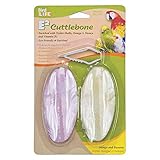 Penn Plax E2 Mango & Banana Cuttlebones, Pack Of 2 Cuttlebones