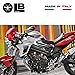 labelbike - 3D Stickers Motorcycle Fuel Tank Side Protection and Decoration in Resin Compatible with BMW F800R - Color Carbon Black Grey Red