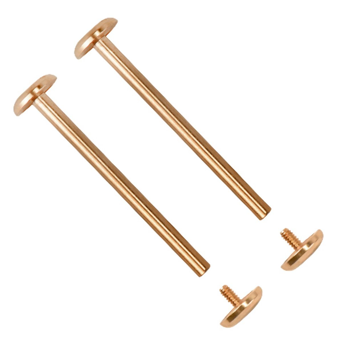 Ewatchparts WATCH STRAP SCREW TUBE (PINS) FOR MICHAEL KORS MK5412,MK5314, MK5410 MK8299 ROSE