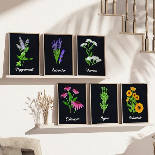 Image of kotart Kitchen Herbs Digital Painting for Wall Decoration - Minimal Cooking Art Prints Restaurant Dinning Room Decor (14X20 Inch, E) Pack of 6