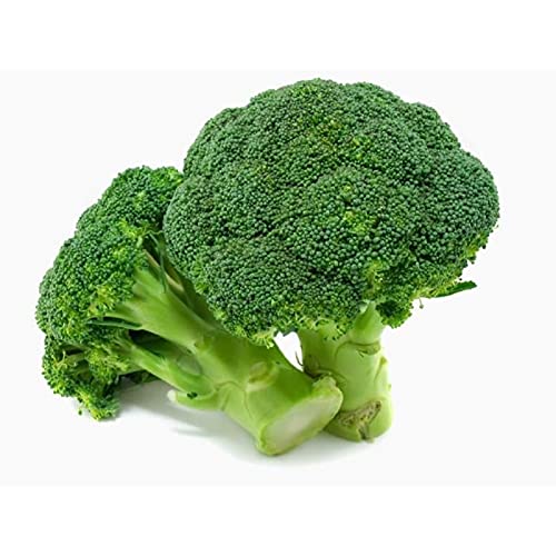 Graines de Chou Brocoli Vert Calabrais Sachet de 2 Grammes