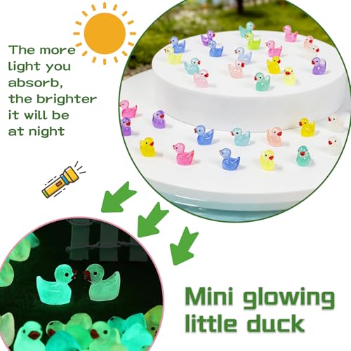ResinGlow 370PCS Glow in The Dark Mini Ducks Tiny Duck Figurines Small Resin Miniature Ducks for Fairy Garden Dollhouse Decor Micro Landscape Aquarium DIY Crafts Party Favors Gifts by ResinGlow - Image 6