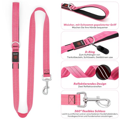 KOSKILL 1,2 m LED Hundeleine, USB wiederaufladbare Beleuchtete Hundeleine Sicherheits für nächtliche Spaziergänge, reflektierende Nylonleinen mit gepolstertem Griff für mittelgroße und große Haustiere