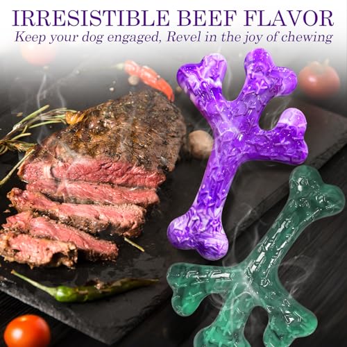 Image of Frienhund 4 Pack (Cactus) Indestructible Tough Dog Toys for Aggressive Chewers: Beef Flavored Chew Bone for Large Dogs 20-90 lbs, Long Lasting & Keep Them Busy