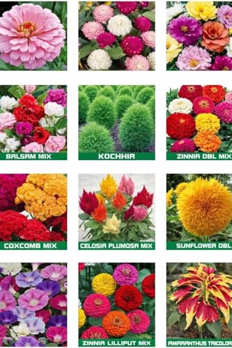 20 Variety Flower Plant Seeds Combo Pack for Home Garden, Mixed C...