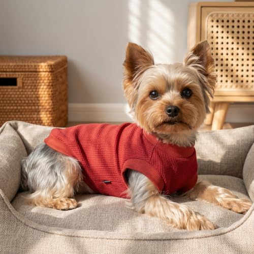 Image of 1 Pack Dog Shirt for Small Supplies Functional Waffle Dog Clothes Warm Soft Sweatshirt Outfit for Dogs Cats Pet Apparel