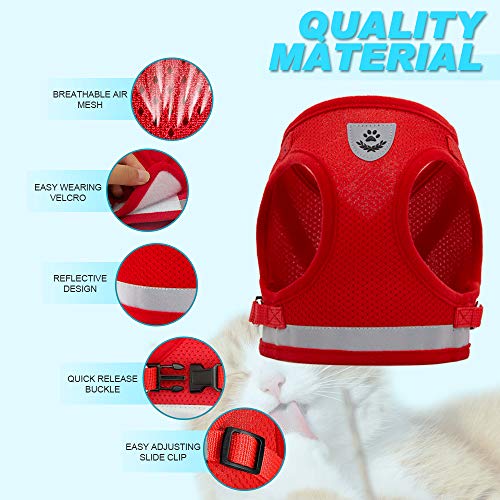 Conjunto de coleira e arreio de gato para passear com gatos e peitoral de cachorro pequeno de malha