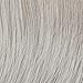Hairuwear Raquel Welch Collection TREND SETTER R56/60 Wig