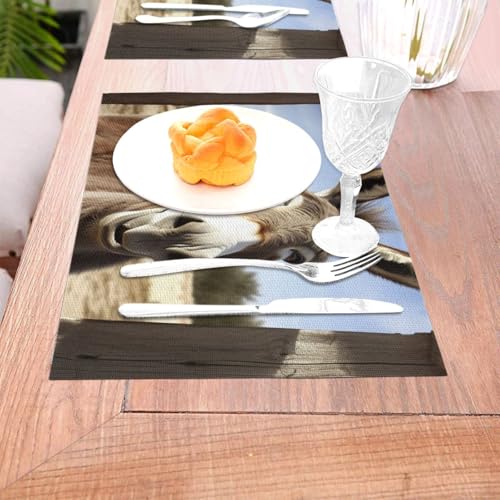 Set de table antidérapant lot de 6 résistant pour protéger la table des enfants