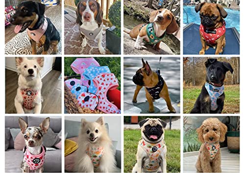 COOWONE Hundegeschirr Kleine Hunde, Verstellbares Hundegeschirr für kleine und mittelgroße Hunde und Katzen, Atmungsaktives Geschirr aus weichem Mesh mit Leine für Spaziergänge, Training