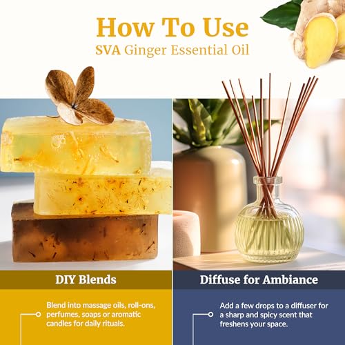 Image of SVA Ginger Essential Oil 1 Fl Oz - for Diffuser, Skin & Hair Care - Ideal for Massage & DIY Blends - with Dropper