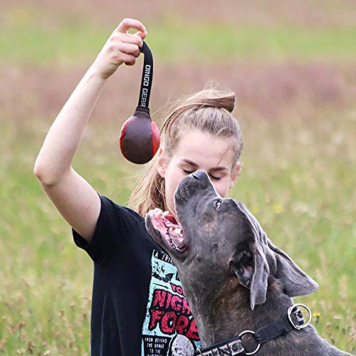 Dingo Gear S02784 Hundespielzeug, weiches Echtleder, mit Griff für das Bisstraining, Ø 8 cm, zufällige Auswahl