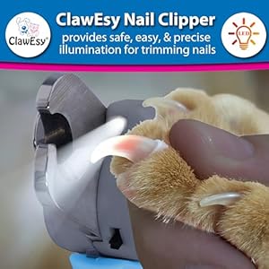 Dog-Nail-Clipper-with-Ultra-Bright-LED-Light-for-Bloodline-Stainless-Steel-Pet-Nail-Trimmer-with-Safety-Guard-Ergonomic-Handle-Free-Nail-File-for-Smooth-Easy-Grooming-dogs-and-catsBlue - Cucciolini Doodles   Dog-Nail-Clipper-with-Ultra-Bright-LED-Light-for-Bloodline-Stainless-Steel-Pet-Nail-Trimmer-with-Safety-Guard-Ergonomic-Handle-Free-Nail-File-for-Smooth-Easy-Grooming-dogs-and-catsBlue