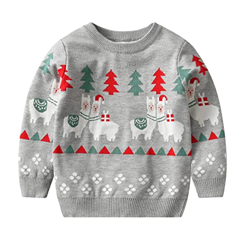 EnJoCho Long Sleeve Sweater for Children Toddler Kids Girls Boys Christmas Cartoon Sweater Casual Prints (Grey, 2-3 Years)