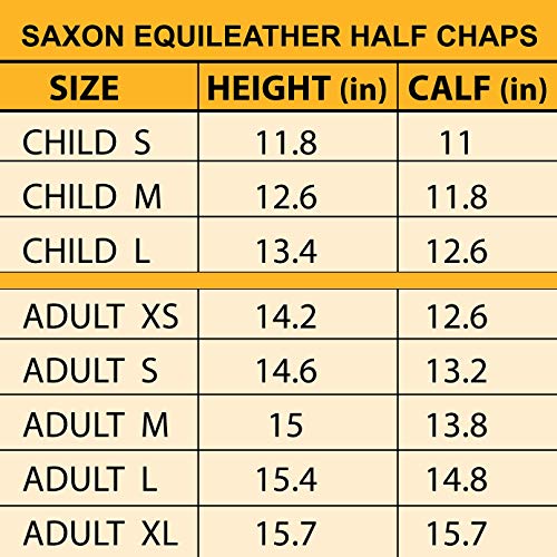 Saxon Women\'s Equileather Half Chaps, Black, Medium - Thumbnail 3