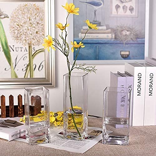 Square Glass vase Set Of 3 pcs (H40xD10),(H30xD10),(H20xD10) Tall Square Vase Home Decorative Flower vase