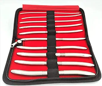 Forgesy Stainless Steel Double Ended Hegar Uterine Dilators Set of 10 with Carrying Case