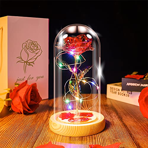 Ptesuply Lampe rose La Belle et la Bête dans le dôme en verre, rose éternelle artificielle avec lumière LED, cadeau pour femme et fille pour anniversaire, Saint-Valentin, fête des mères, Noël