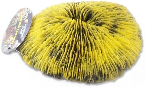 Natural Color Aquarium Fish Tank Marine Reef Artificial Ornament Yellow/Red/Green Fungia Coral LPS Decoration (Yellow/Black)