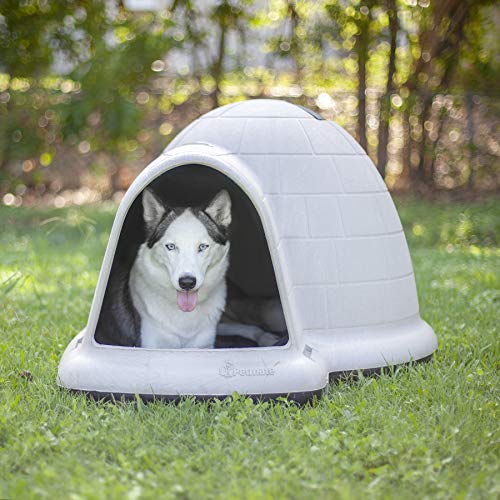 The Best Air Conditioned Dog House 2022 Reviews Outsider Gear
