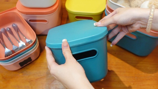 Amazon.com: Thyle 6 Pcs 14 In Colorful Plastic Storage Bins 6