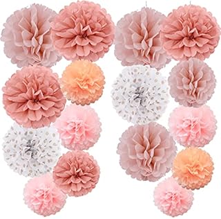Time to Sparkle 16pcs Mix Tissue Paper Pompoms Pom Poms Flower Handmade Wedding Party Decorations Balls, Pink Shade