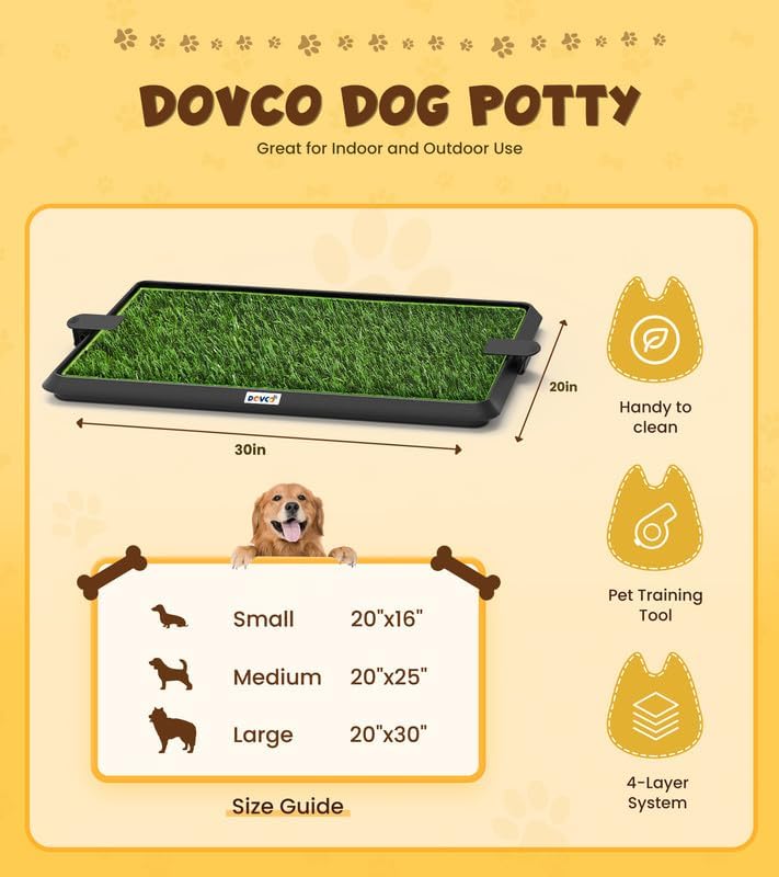 https://m.media-amazon.com/images/I/51kGg7JoHdL._AC_.jpg