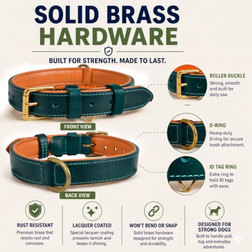 Image of Genuine Leather Dog Collar, Green, Extra Large, Brass Buckle, Padded | 1.5 Inch Wide, Fit Neck Size - 22 inch - 26 inch, Double D Ring, Adjustable, Thick Leather, Heavy Duty, Soft Leather padding