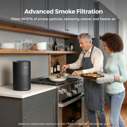 Purivortex Air Purifier PX500