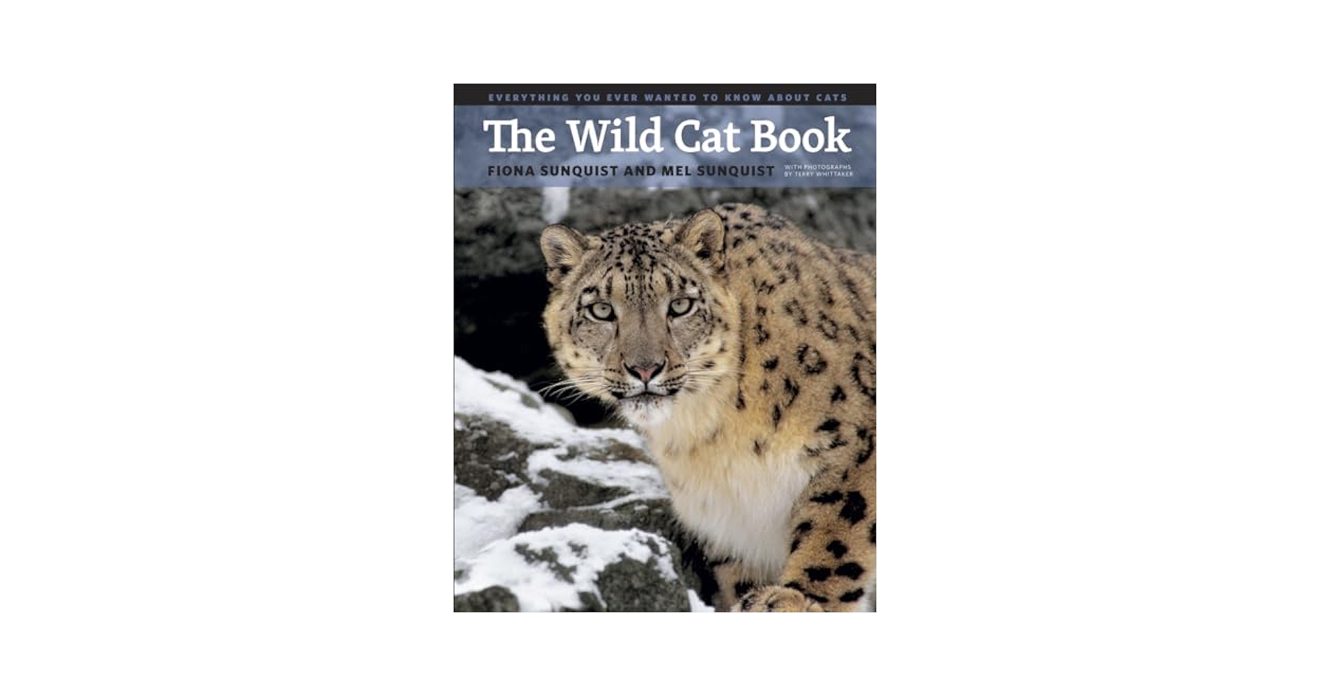 洋書 The Wild Cat Book Amazon.com: The Wild Cat Book: Everything You Ever Wanted to